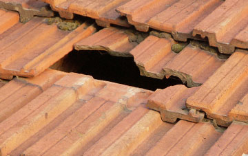 roof repair Warden